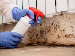 Professional Mold Prevention & Removal  in Beesleys Point, NJ